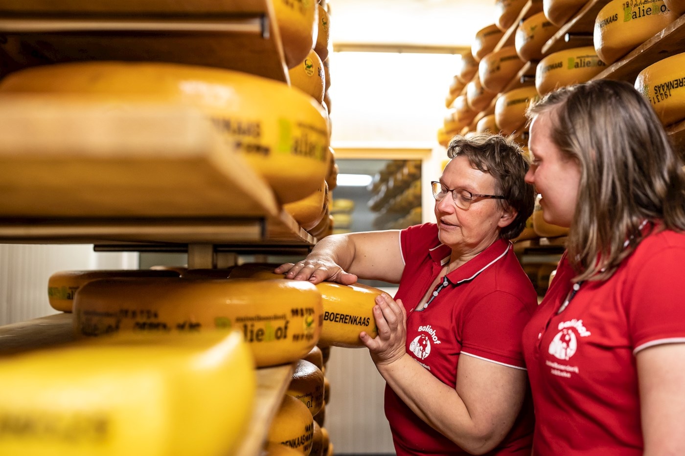 Twee medewerkers van Baliehof controleren kaasbollen tijdens de rijping