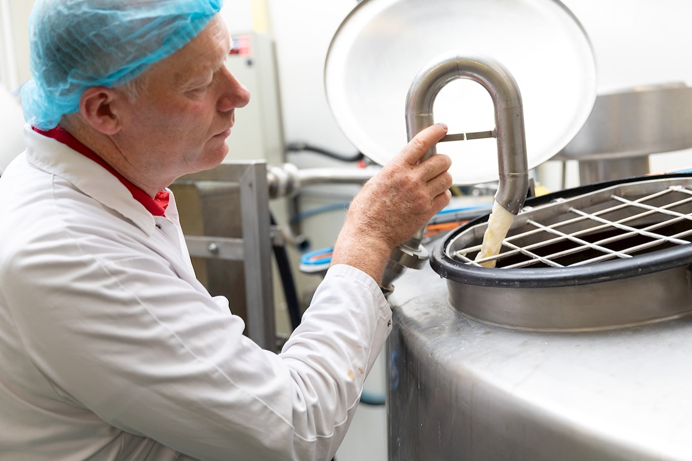 De gestremde melk aan het begin van het kaasproces bij Baliehof