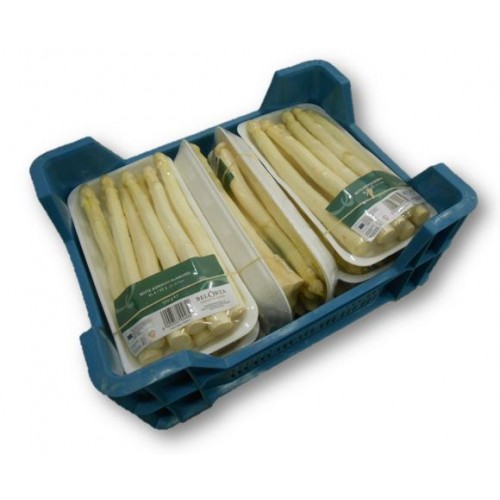 Asperges