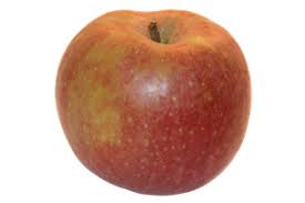 Boskoop appel