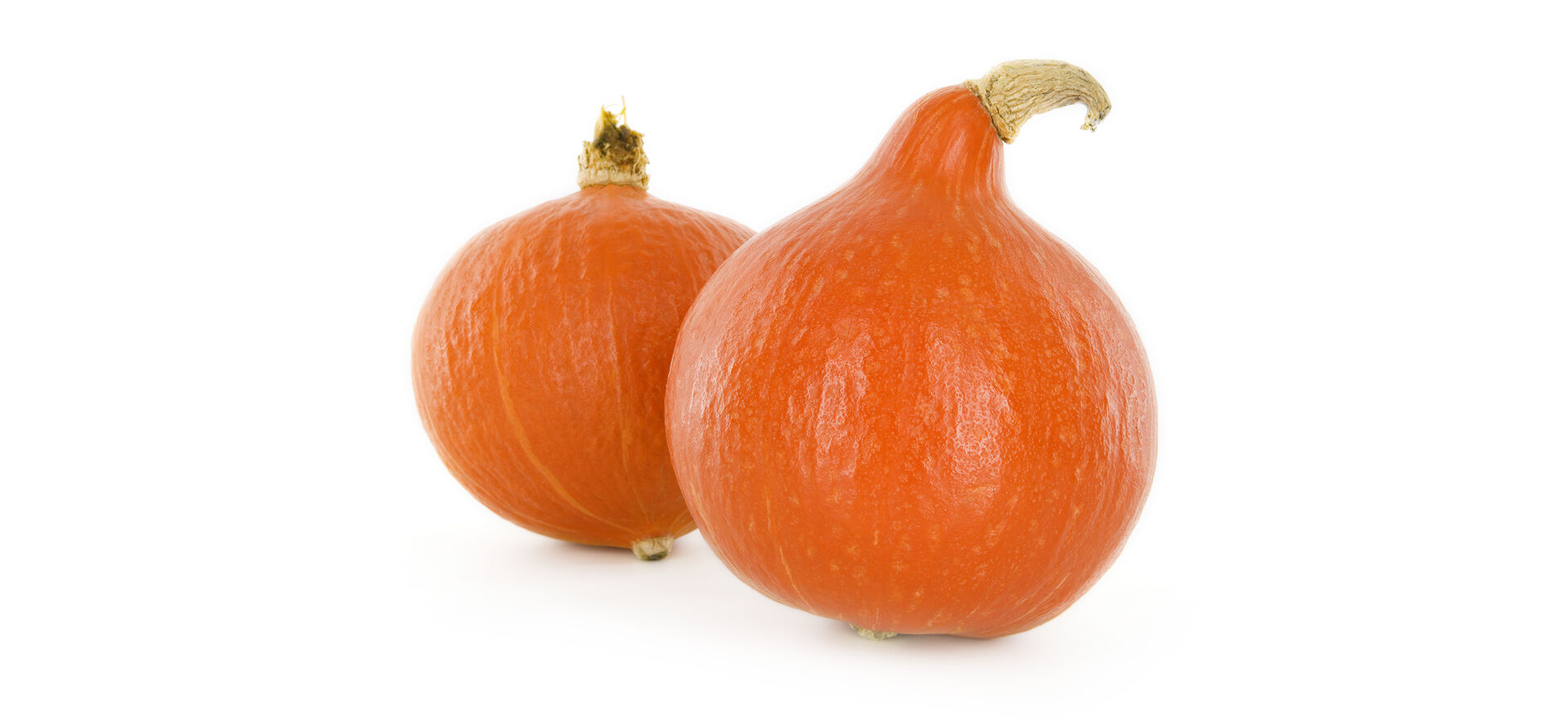 Hokkaido Pompoen