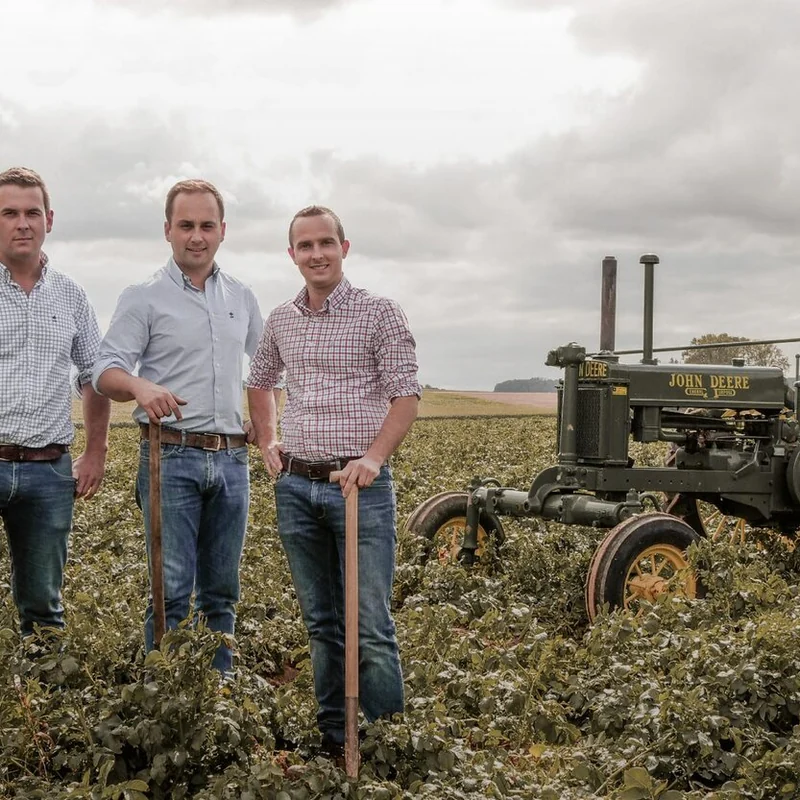 Het ambacht achter Lucien Chips